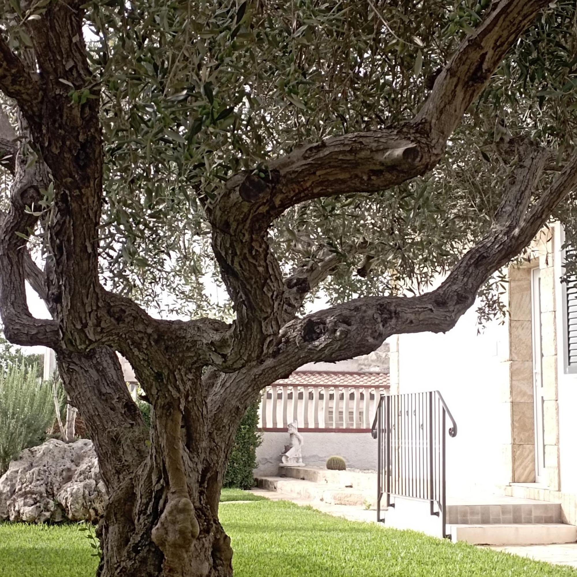 La Casetta Di Viale Paradiso Bed & Breakfast *